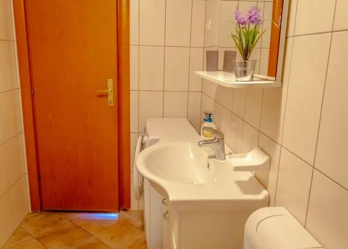 Comfort And Affordable Slavica בית הארחה 3*